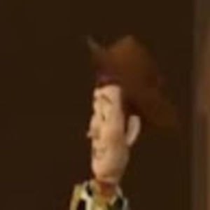 Meet your Posher, Hudson